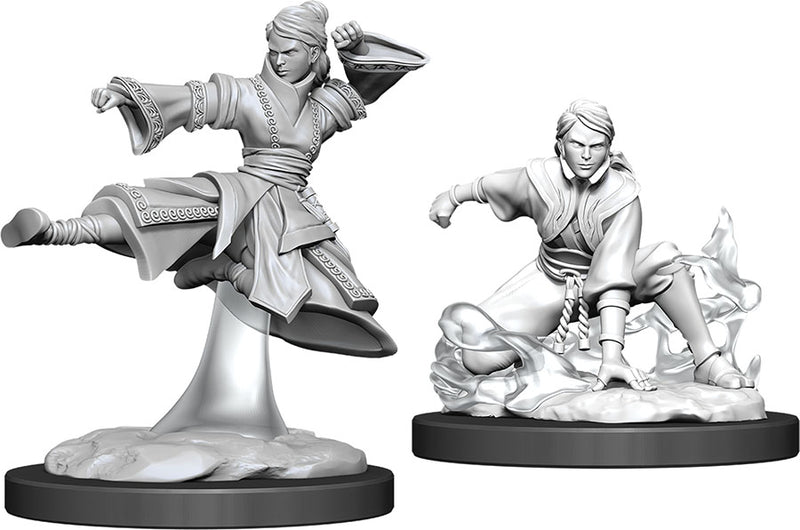 Dungeons & Dragons Nolzur's Marvelous Unpainted Miniatures: Female Human Monk