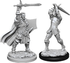 Dungeons & Dragons Nolzur`s Marvelous Unpainted Miniatures: W12 Male Human Paladin | D20 Games