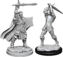 Dungeons & Dragons Nolzur`s Marvelous Unpainted Miniatures: W12 Male Human Paladin