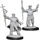 Dungeons & Dragons Nolzur`s Marvelous Unpainted Miniatures: W13 Human Wizard Male