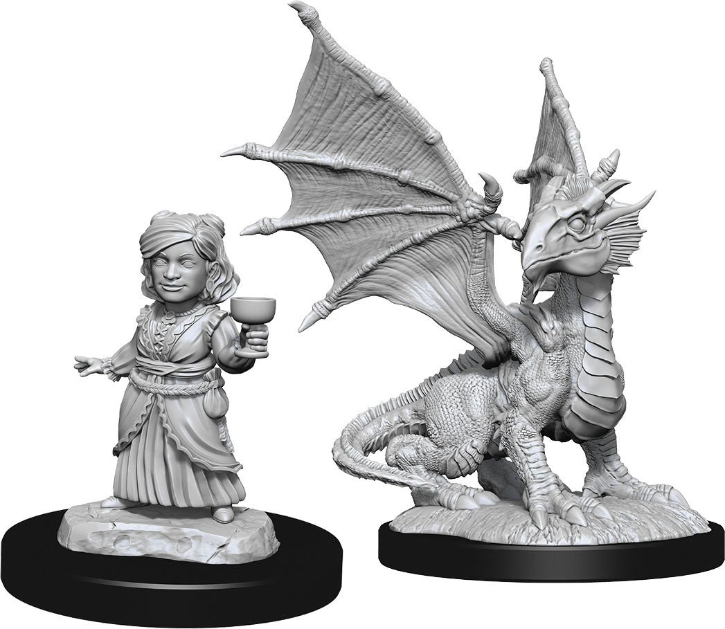 Dungeons & Dragons Nolzur`s Marvelous Unpainted Miniatures: W13 Silver Dragon Wyrmling & Female Halfling | D20 Games