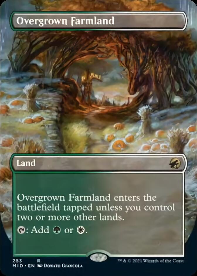 Overgrown Farmland (Borderless) [Innistrad: Midnight Hunt] | D20 Games