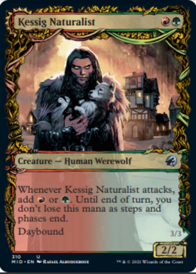 Kessig Naturalist // Lord of the Ulvenwald (Showcase Equinox) [Innistrad: Midnight Hunt] | D20 Games