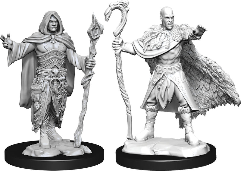 Dungeons & Dragons Nolzur`s Marvelous Unpainted Miniatures: W14 Human Druid Male