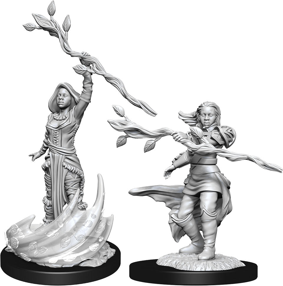 Dungeons & Dragons Nolzur`s Marvelous Unpainted Miniatures: W14 Human Druid Female | D20 Games