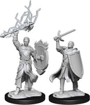 Dungeons & Dragons Nolzur`s Marvelous Unpainted Miniatures: Half-Elf Paladin Male