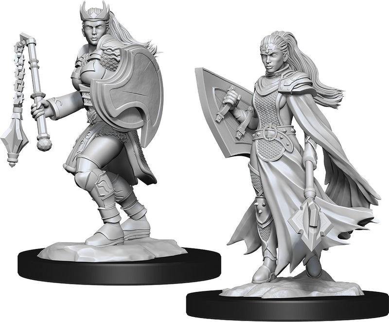 Dungeons & Dragons Nolzur`s Marvelous Unpainted Miniatures: Kalashtar Cleric Female