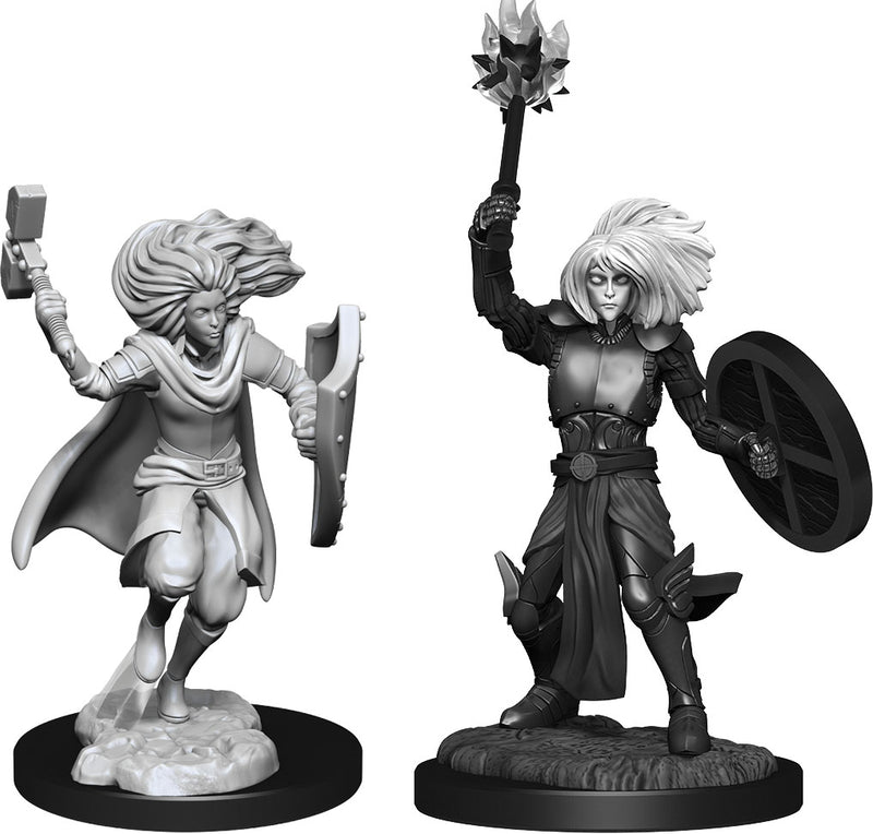 Dungeons & Dragons Nolzur`s Marvelous Unpainted Miniatures: Changeling Cleric Male