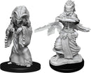 Dungeons & Dragons Nolzur`s Marvelous Unpainted Miniatures: Night Hag & Dusk Hag