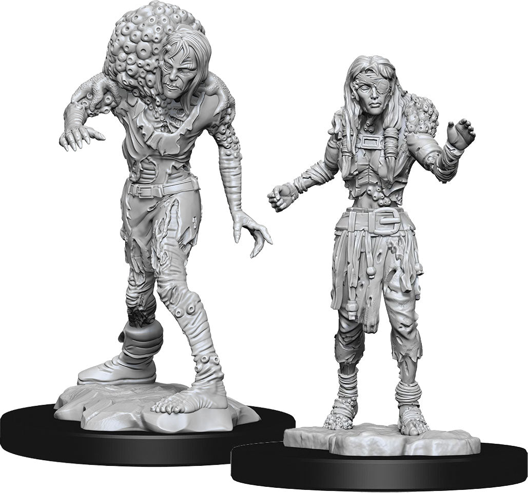 Dungeons & Dragons Nolzur`s Marvelous Unpainted Miniatures: W14 Drowned Assassin & Drowned Asetic | D20 Games
