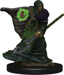 Dungeons & Dragons Fantasy Miniatures: Icons of the Realms Premium Figures W5 Elf Druid Male