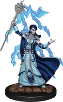 Dungeons & Dragons Fantasy Miniatures: Icons of the Realms Premium Figures W6 Elf Wizard Female