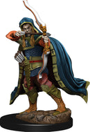 Dungeons & Dragons Fantasy Miniatures: Icons of the Realms Premium Figures W6 Elf Rogue Male