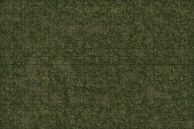 Dungeons & Dragons Fantasy Miniatures: Icons of the Realms Grasslands Battle Mat