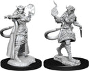 Dungeons & Dragons Nolzur`s Marvelous Unpainted Miniatures: Tiefling Sorcerer Female