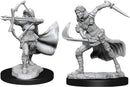 Dungeons & Dragons Nolzur`s Marvelous Unpainted Miniatures: Air Genasi Female