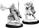 Dungeons & Dragons Nolzur`s Marvelous Unpainted Miniatures:  Winter Eladrin & Spring Eladrin