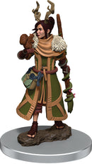 Dungeons & Dragons Fantasy Miniatures: Icons of the Realms Premium Figures W7 Female Human Druid