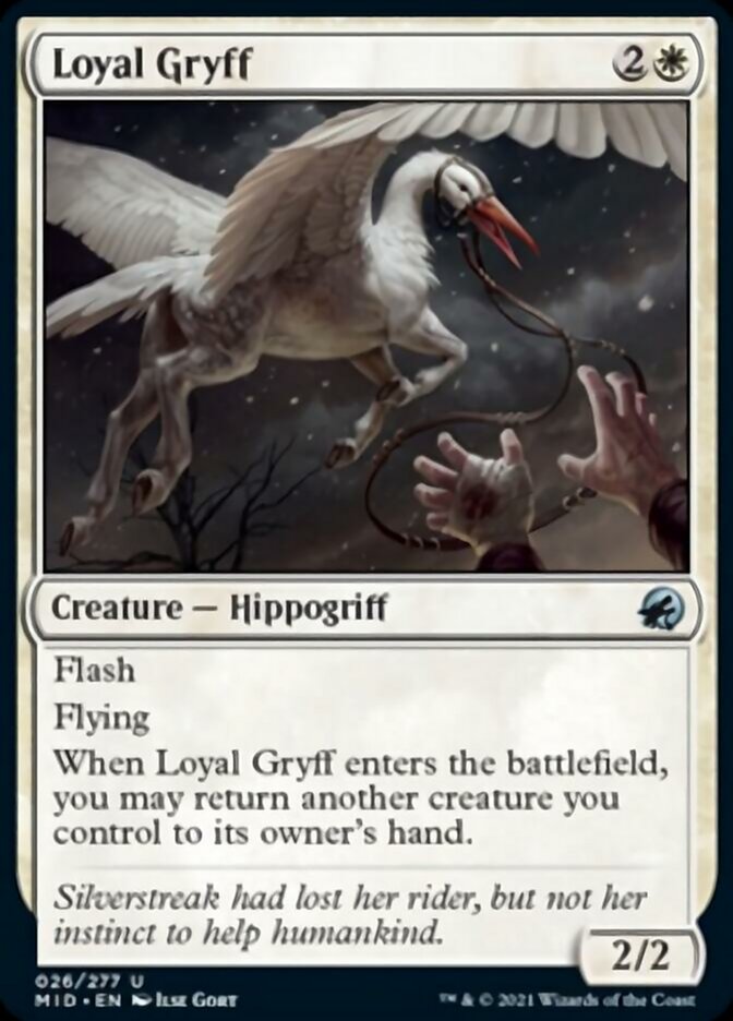 Loyal Gryff [Innistrad: Midnight Hunt] | D20 Games