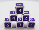 Purple and Silver D6 Metal Dice Set Metal Dice Foam Brain Games