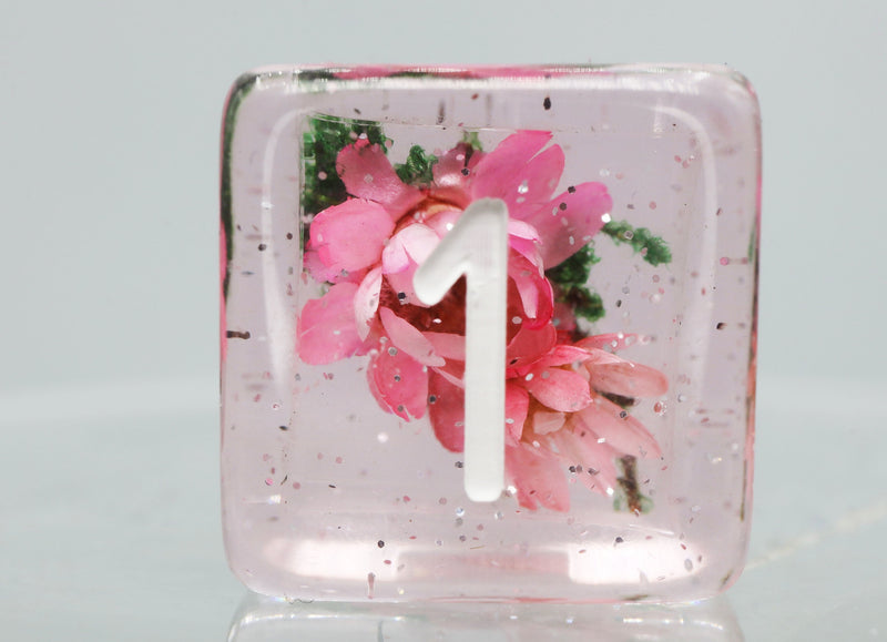 Carnation Love RPG Dice Set Plastic Dice Foam Brain Games