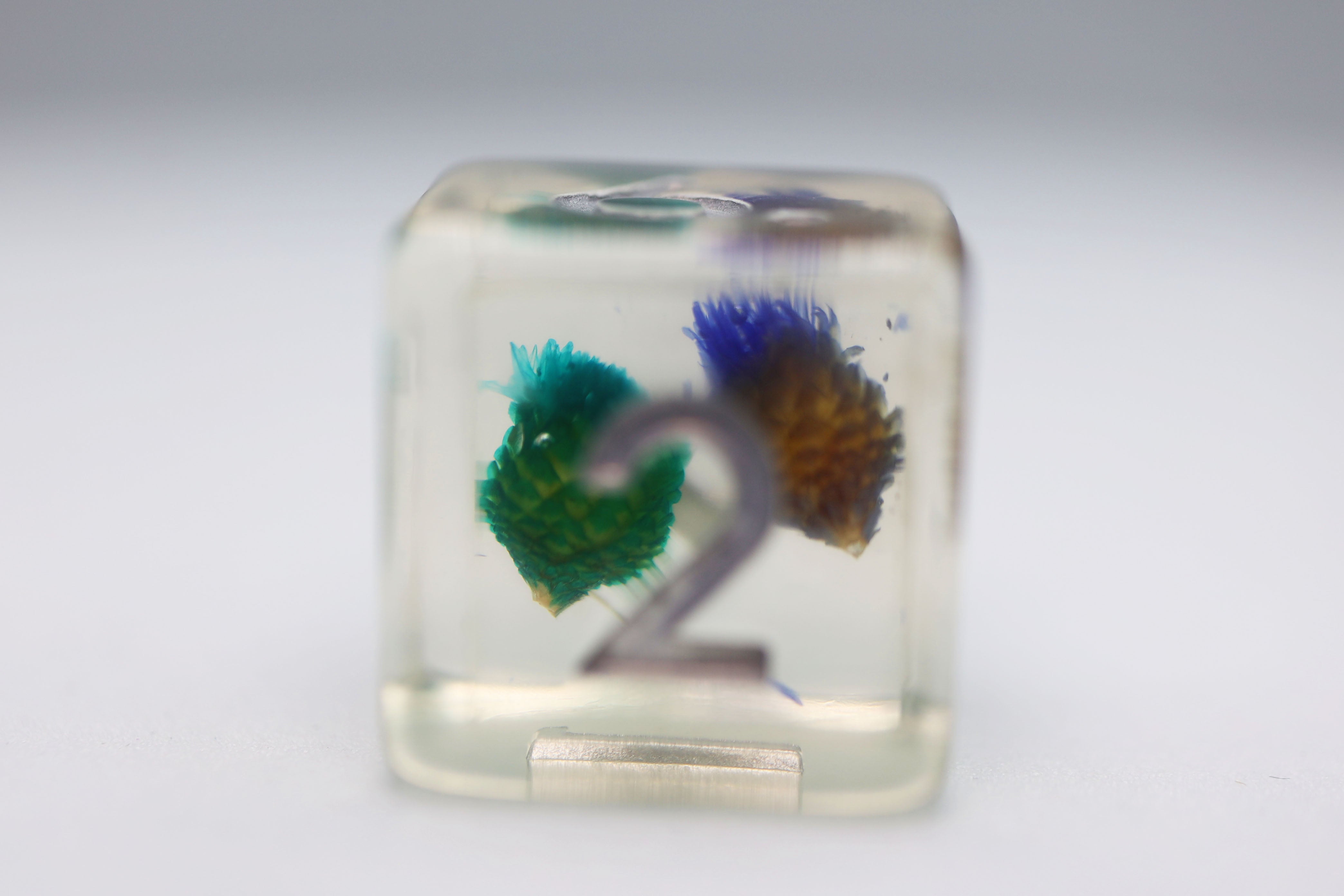 Green and Purple Flower RPG Dice Set Plastic Dice Foam Brain Games | D20 Games