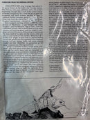 Dungeons and Dragons 1st Edition Basic Magazine