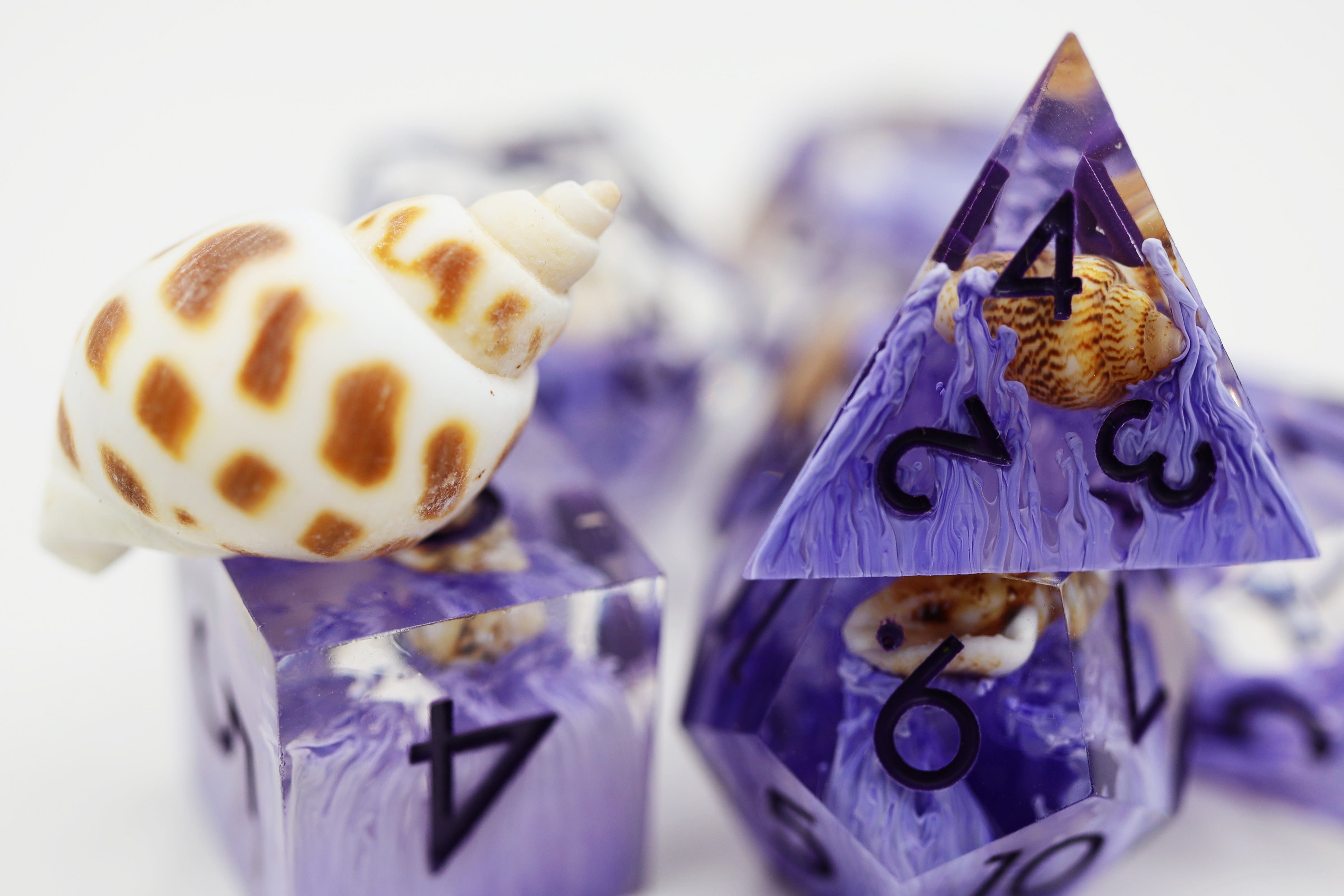 Purple Coral & Sea Snail Sharp Edge Resin RPG Dice Set Plastic Dice Foam Brain Games | D20 Games