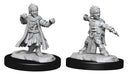 Pathfinder Battles Deep Cuts Miniatures: Male Halfling Monk