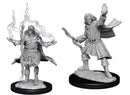 Pathfinder Battles Male Elf Sorcerer