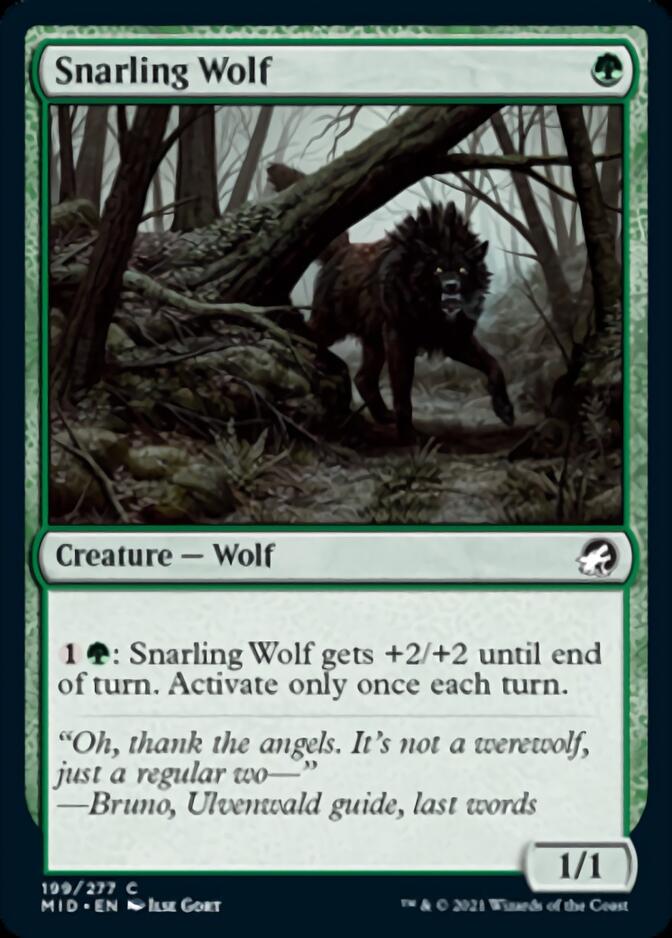 Snarling Wolf [Innistrad: Midnight Hunt] | D20 Games