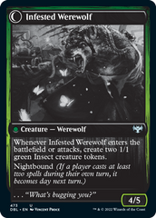 Infestation Expert // Infested Werewolf [Innistrad: Double Feature] | D20 Games