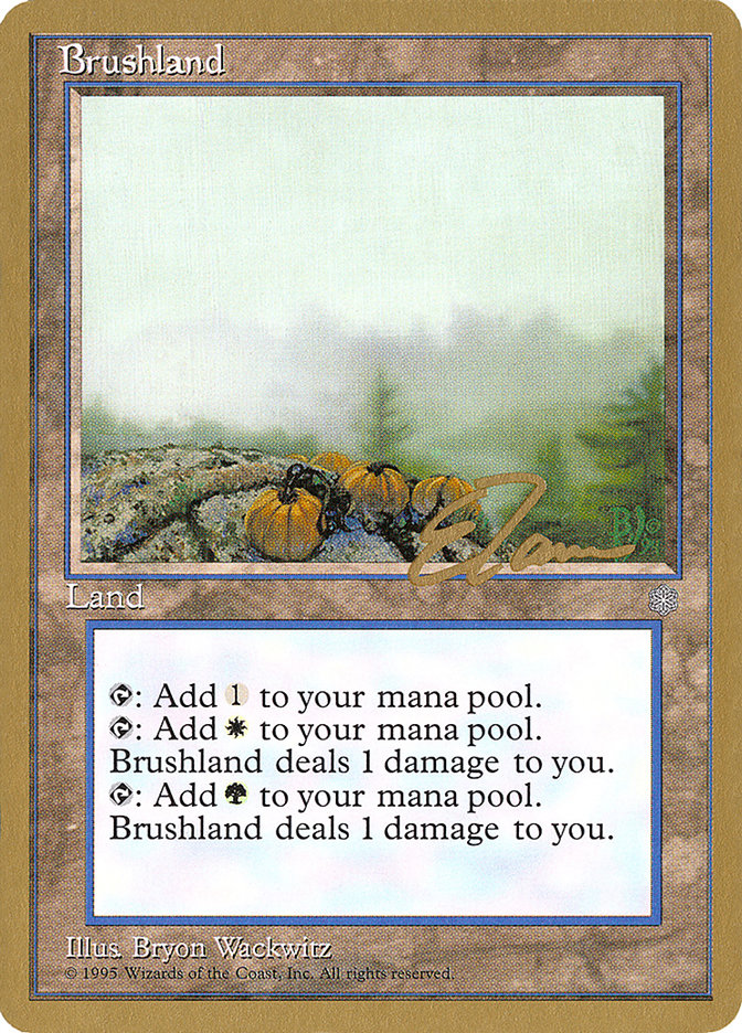 Brushland (Eric Tam) [Pro Tour Collector Set] | D20 Games