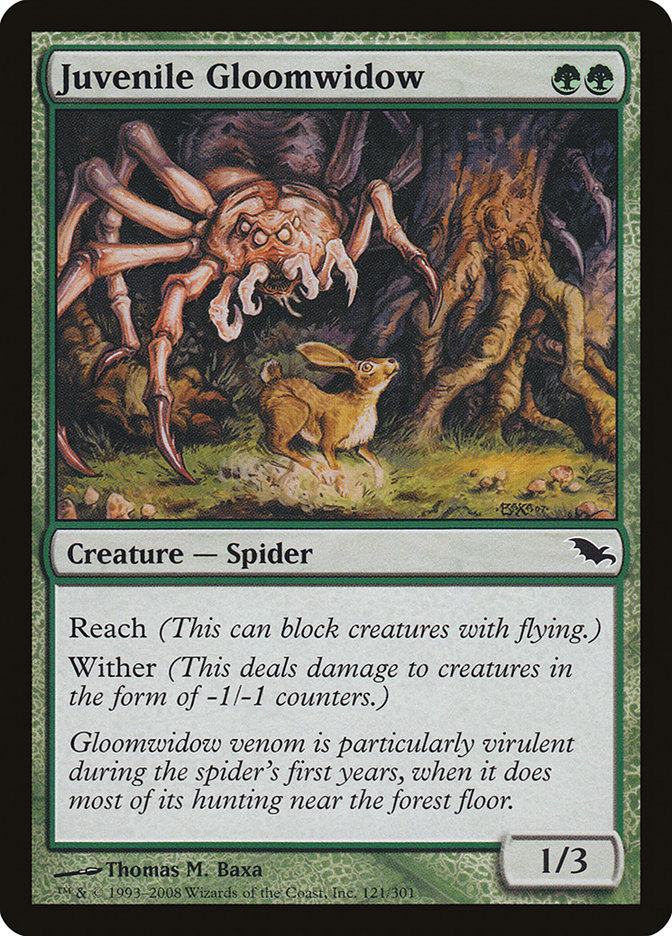 Juvenile Gloomwidow [Shadowmoor] | D20 Games