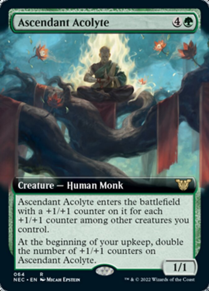 Ascendant Acolyte (Extended) [Kamigawa: Neon Dynasty Commander] | D20 Games