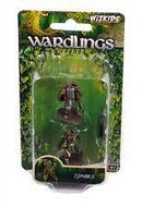 Wardlings: Warlock and Lizard