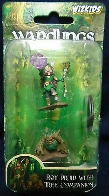 Wardlings: Boy Druid and Tree Companion