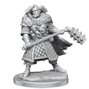Frameworks Human Fighter Miniature