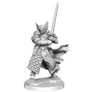 Frameworks Dragonborn Paladin Miniature