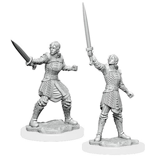 Critical Role Human Dwendalian Empire Fighter Miniature | D20 Games