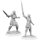 Critical Role Human Dwendalian Empire Fighter Miniature