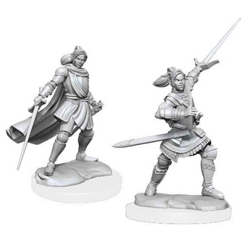 Critical Role Half Elf Xhorhas Paladin Miniature | D20 Games