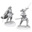 Critical Role Half Elf Xhorhas Paladin Miniature